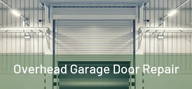  Overhead Garage Door Repair 